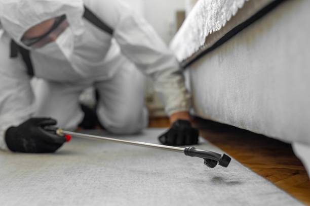 Professional Bed Bug Control technician working in Poynette, WI
